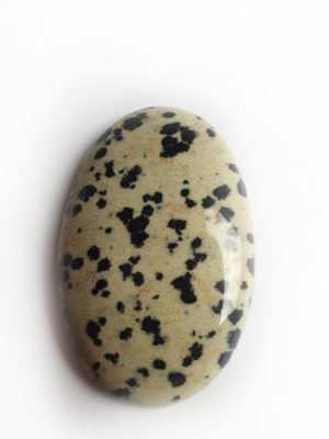 Cabochon JASPE DALMATIEN