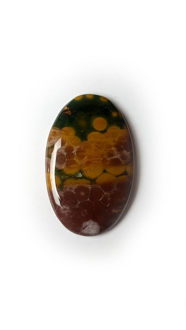 cabochon jaspe orbiculaire / ocean rare couleur