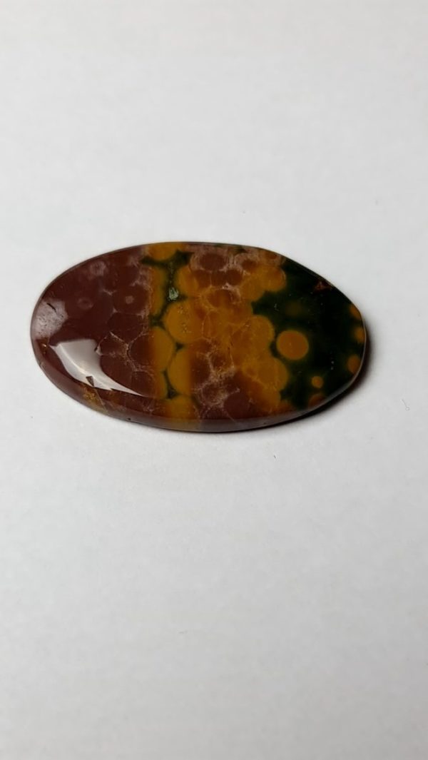 cabochon jaspe orbiculaire / ocean rare couleur