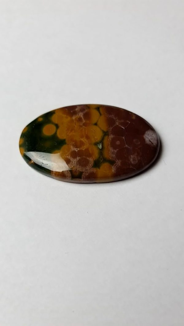 cabochon jaspe orbiculaire / ocean rare couleur