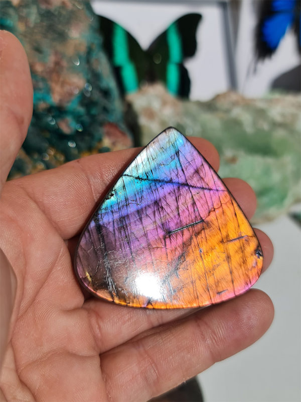 cabochon de Labradorite multicolore