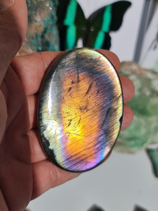 cabochon de Labradorite multicolore