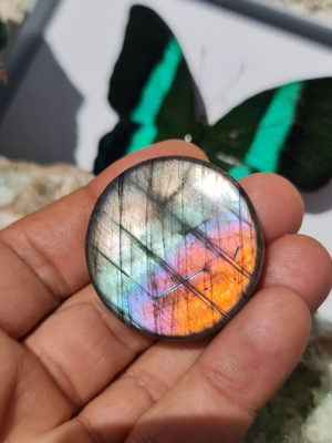 cabochon de Labradorite multicolore