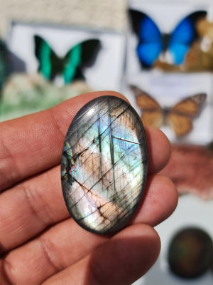 cabochon de Labradorite multicolore