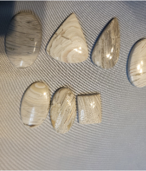 agate lattice live1