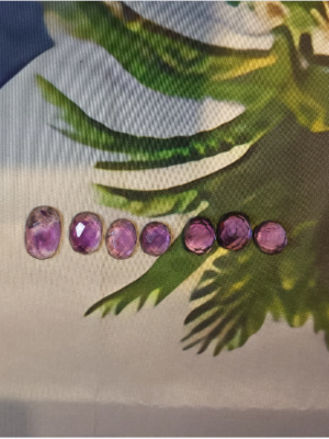 amethyste rosecut live1