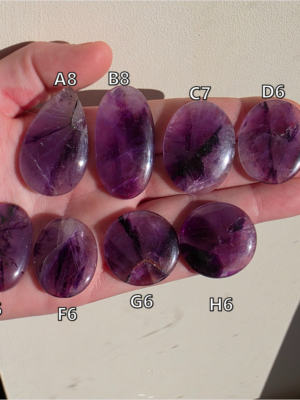 Améthyste trapiche SW01