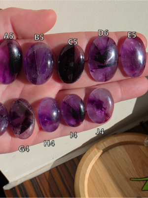 Améthyste trapiche2 SW01