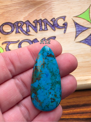 Chrysocolle SW01
