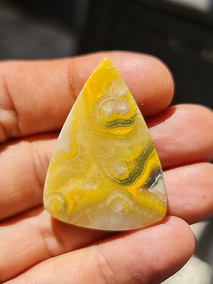 Cabochon de collection "jerry le bourdon" (jaspe bourdon)