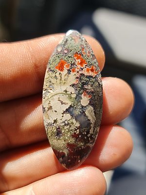 Cabochon de collection "l'esprit des plante" (agate mousse indonesienne)