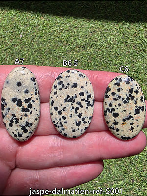 jaspe-dalmatien-ref-S001