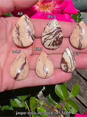 jaspe-noix-de-coco-ref-S001